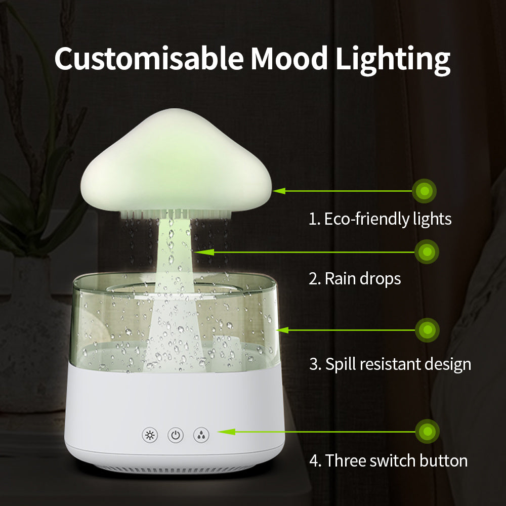 Rain Humidifier