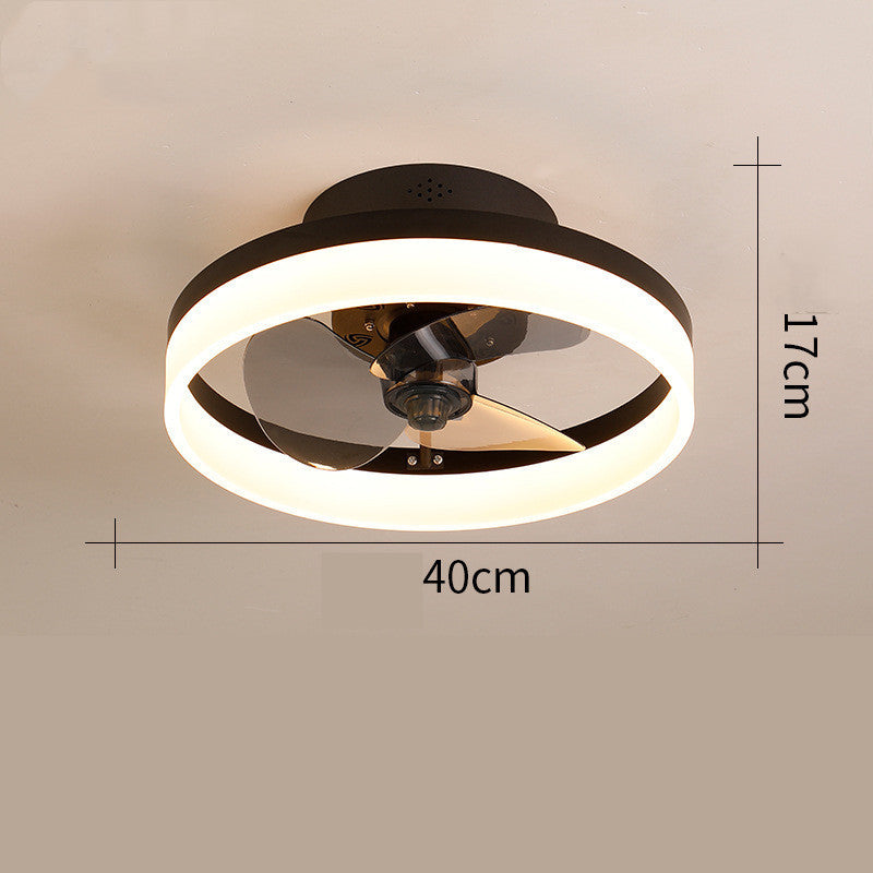 Ceiling Fan Light