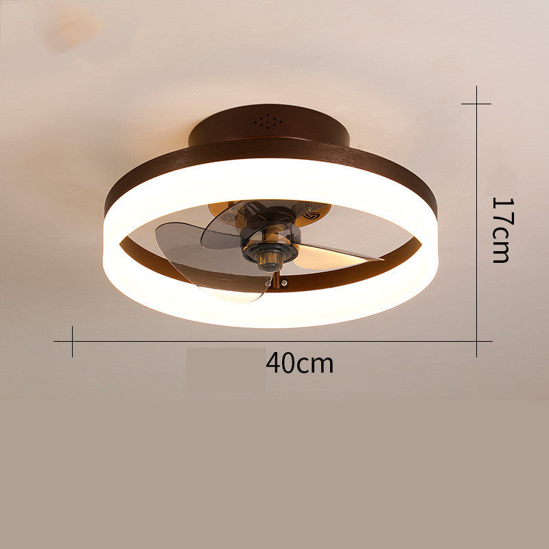 Ceiling Fan Light