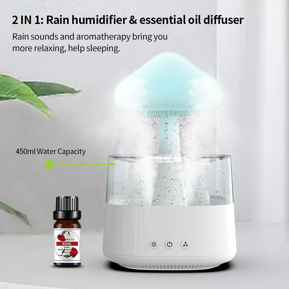 Rain Humidifier