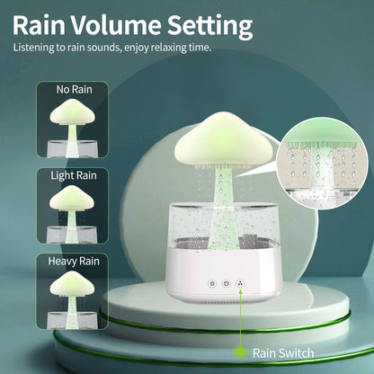 Rain Humidifier